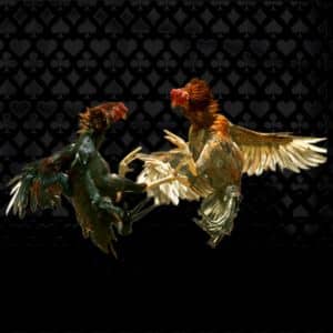 Luxebet Sports Betting esabong